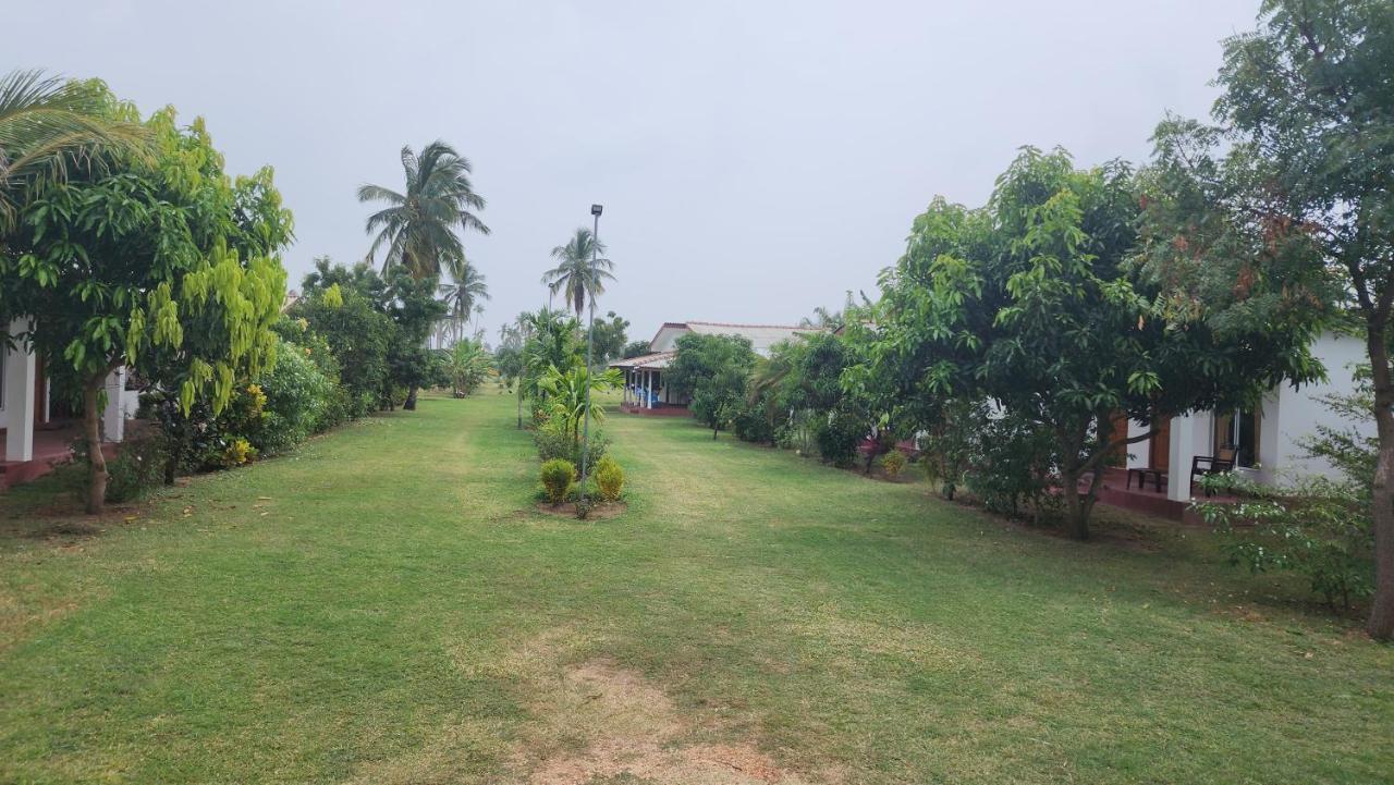 Jeys Place Nilaveli Dış mekan fotoğraf
