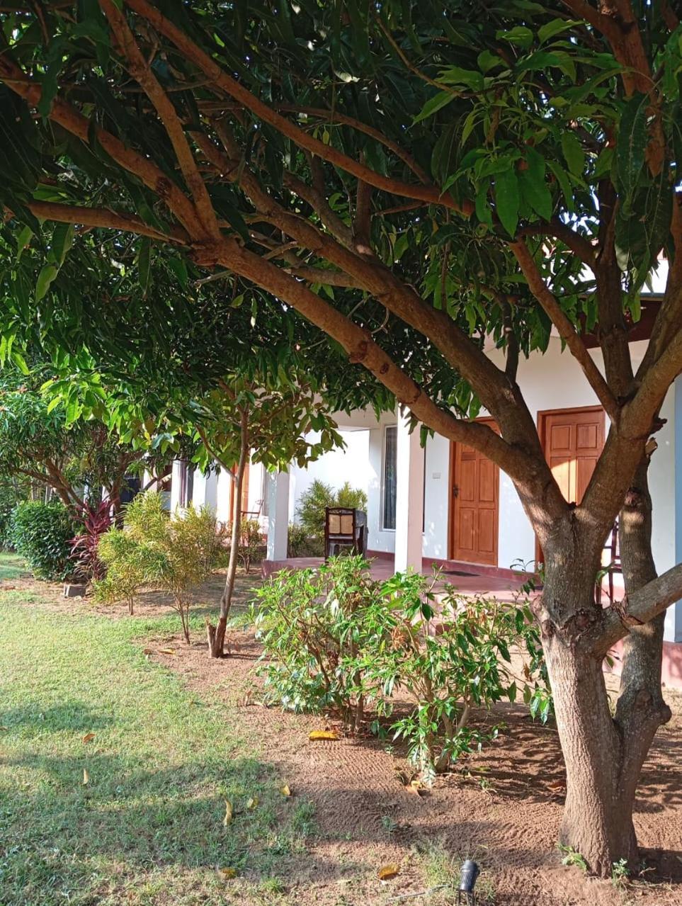 Jeys Place Nilaveli Dış mekan fotoğraf