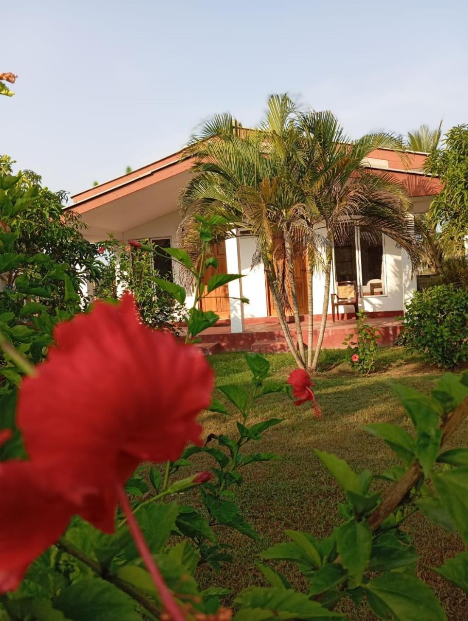 Jeys Place Nilaveli Dış mekan fotoğraf
