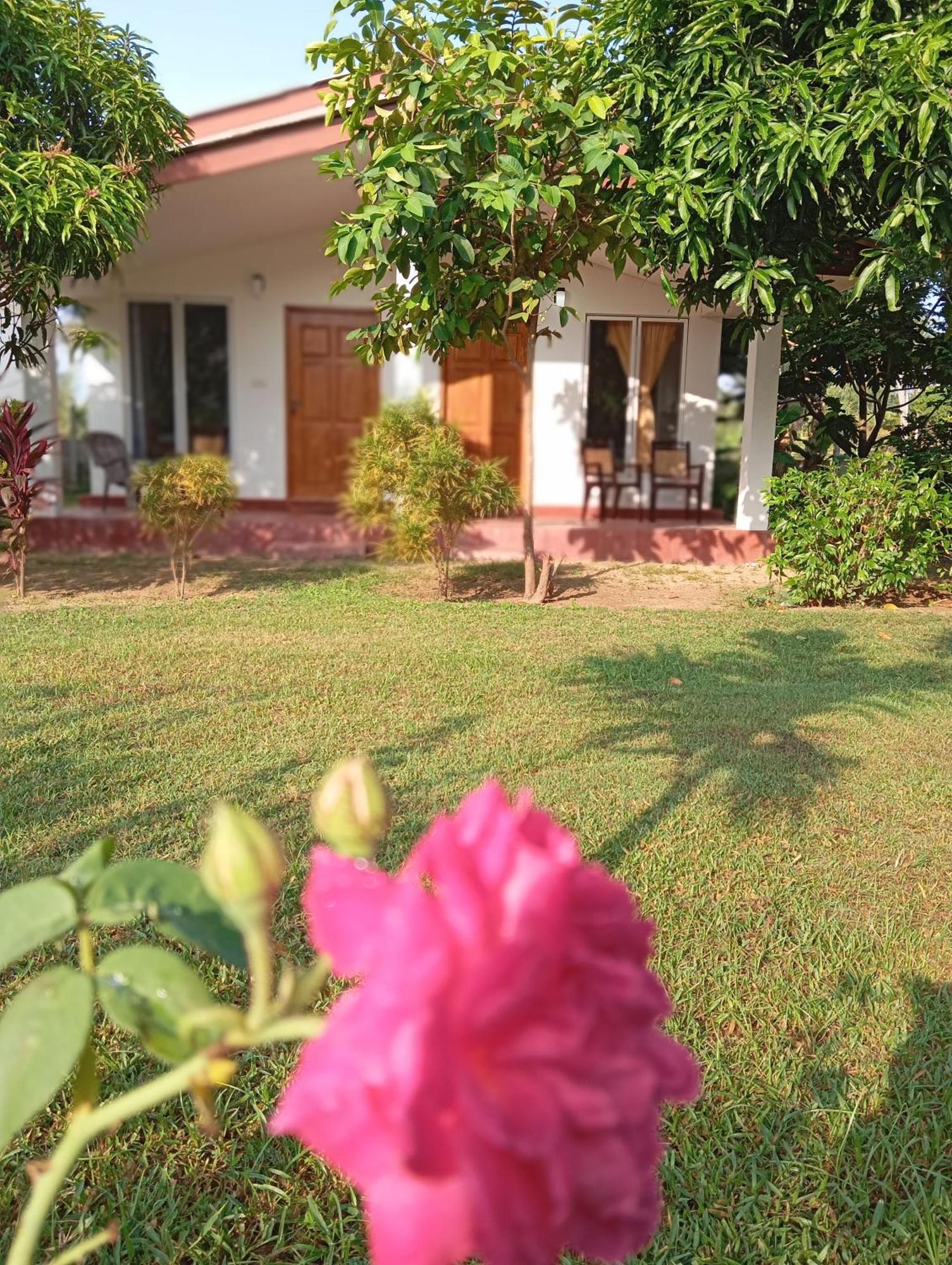 Jeys Place Nilaveli Dış mekan fotoğraf